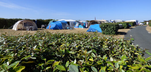 Camping municipal - Toiles de tente